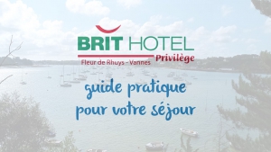 Wifi : Logo Brit Hotel Fleur de Rhuys